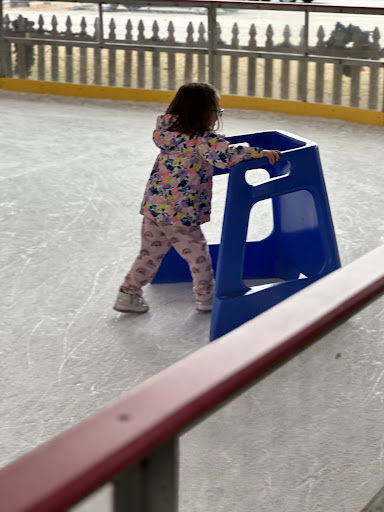 Photo from customer review