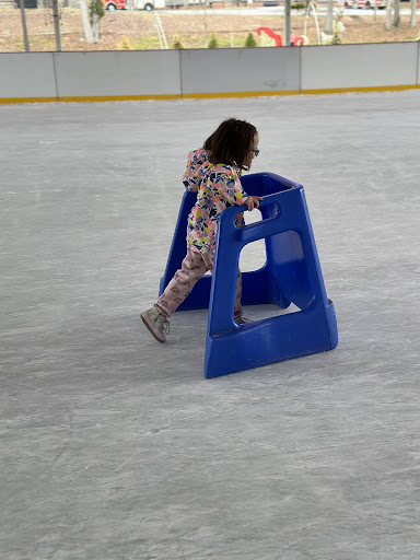 Photo from customer review